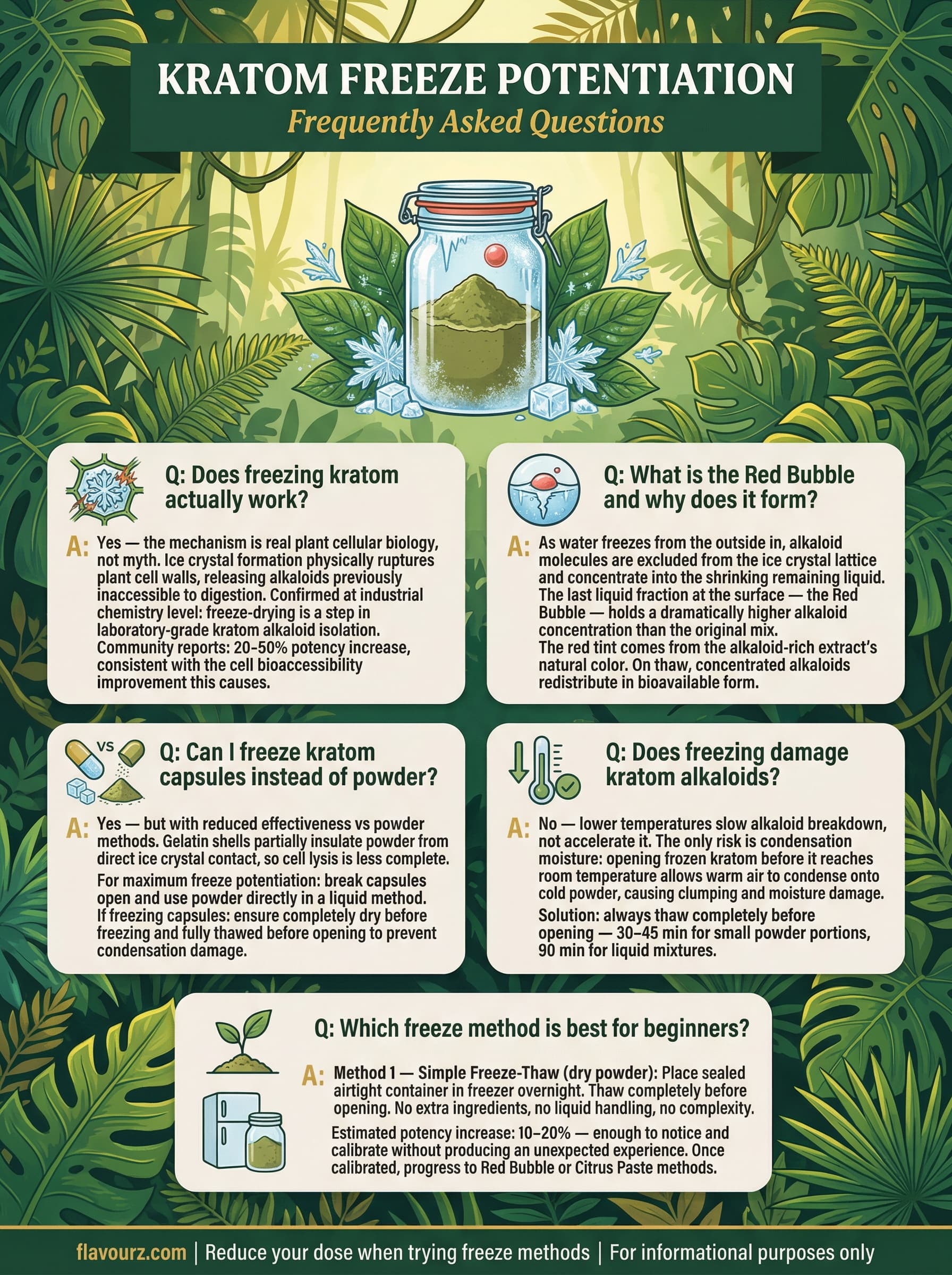infographic for Mixing Kratom with Yogurt 9 Flavor Combinations That Work Frequently Asked Questions